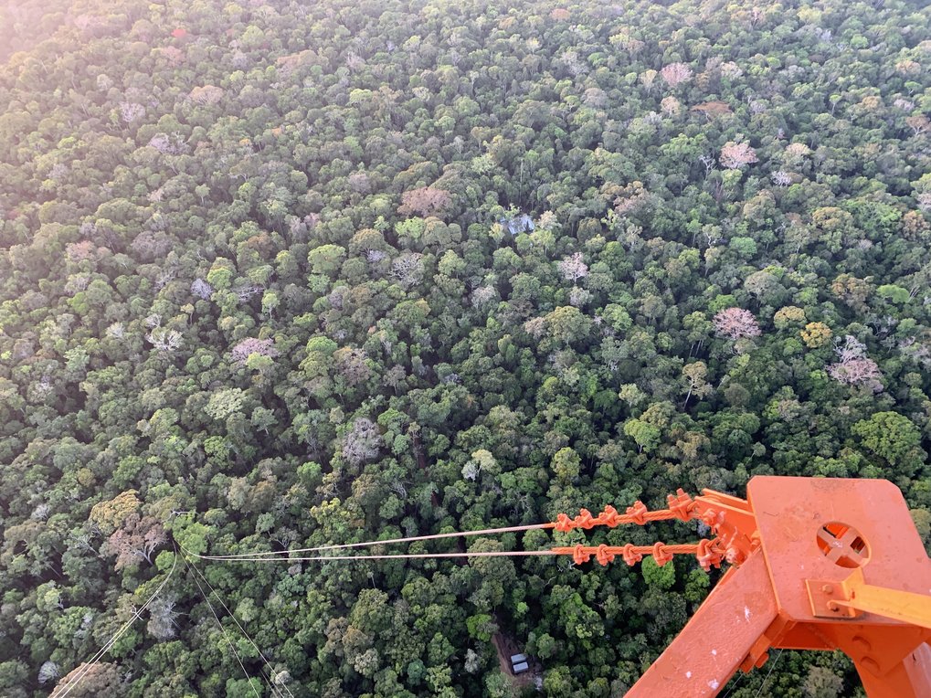 View of the rainforest from the 325 meter high ATTO measuring tower in the Amazon, you can see the long tension ropes of the tower.