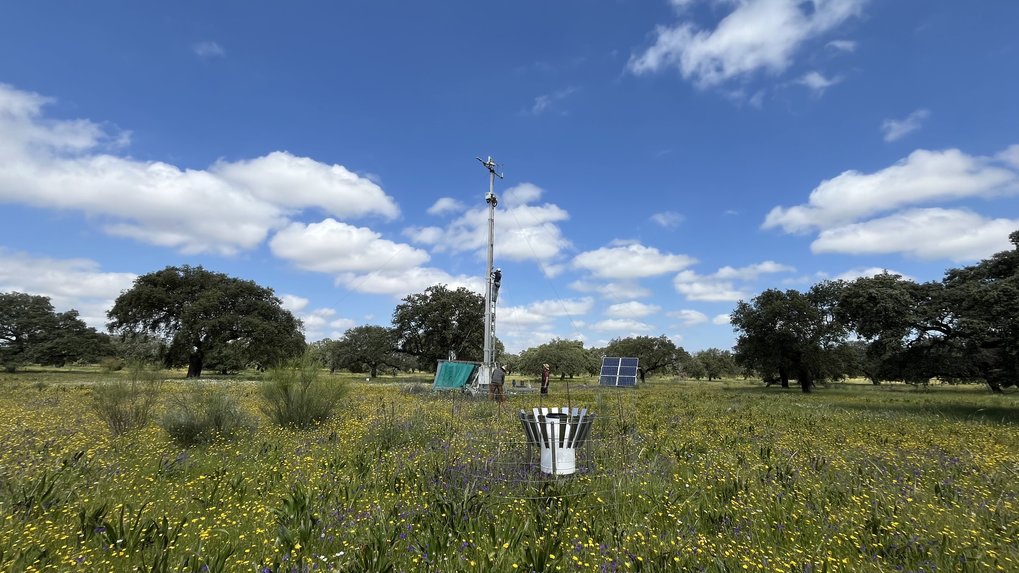 Üppige Blumenwiese, hauptsächlich gelbe Blüten, mit locker verstreuten Steineichen (Dehesa). Der Himmel ist azurblauemit weißen Wolken. In der Mitte sieht man den Mobilen Turm,  oben etwas eingefahren für Kalibrier- und Reinigungsarbeiten, daneben die Solaranlage, dei verschiedene Meßgeräte versorgt und im Vordergrund, ein großer Regenmesser.