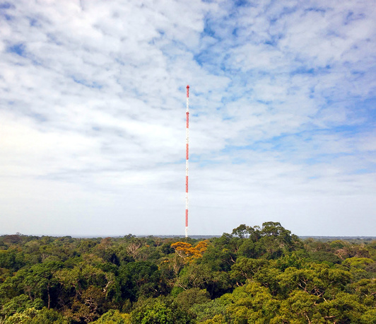 Hoch hinaus für die Klimaforschung im Amazonas