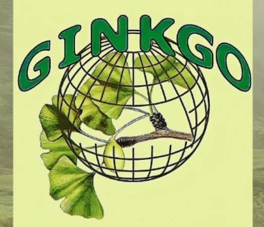 12th GINKGO Network Meeting